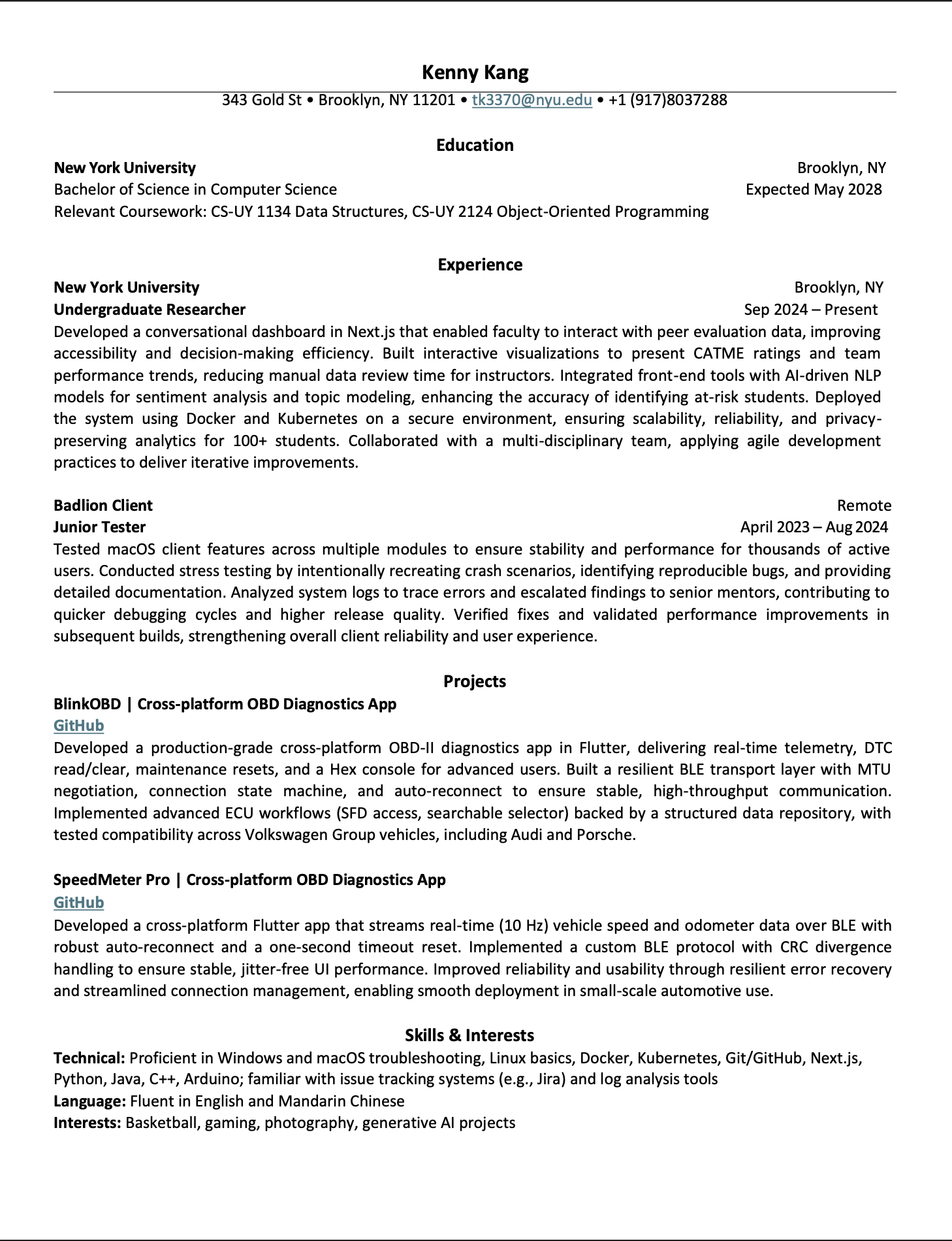 Resume preview
